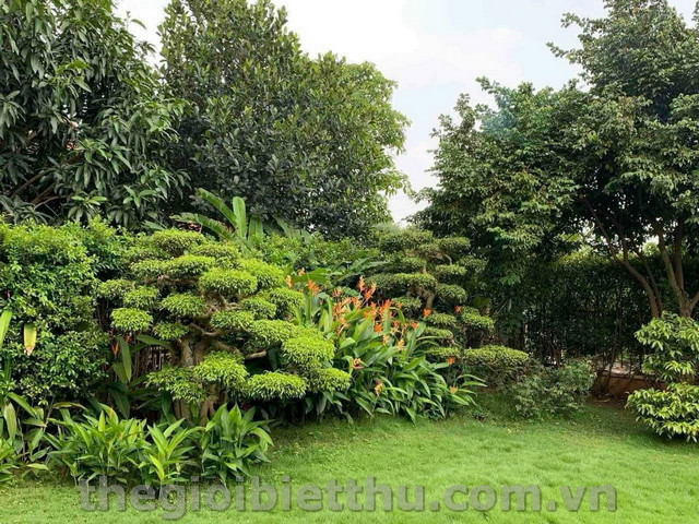 Long description image 1