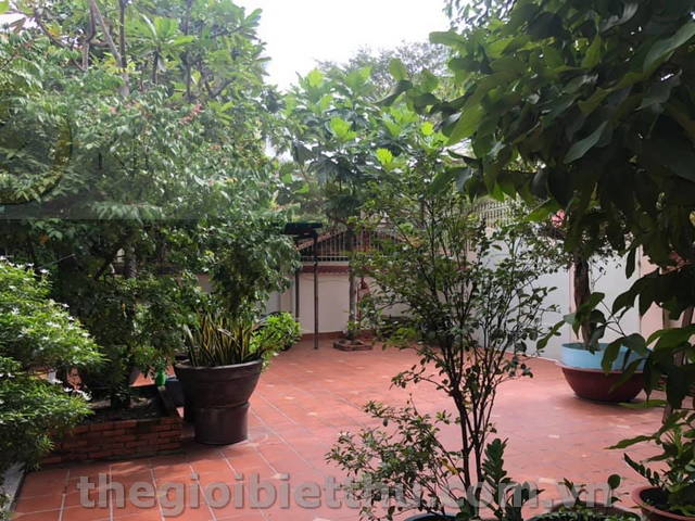 Long description image 1