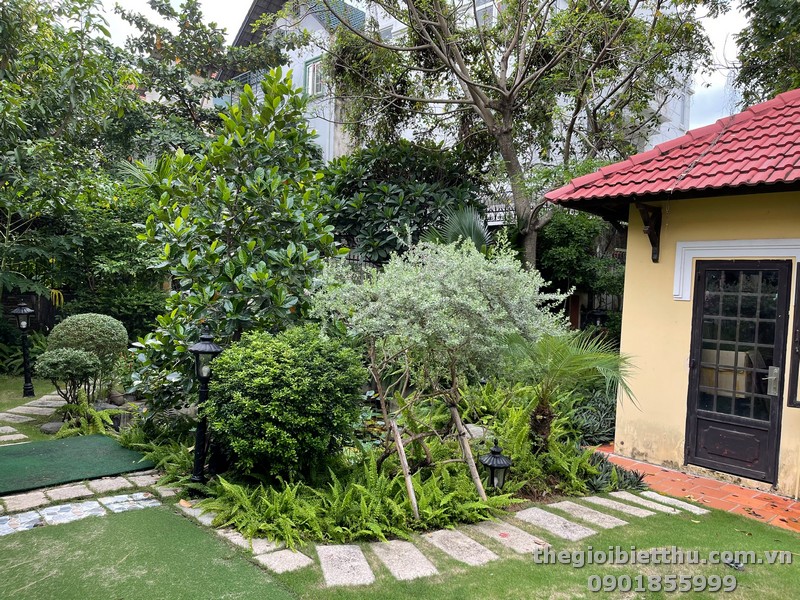 Long description image 1